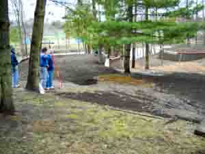 The Covered Bridge