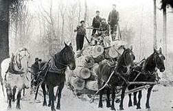 Horses pulling stacked logs and lumberjacks