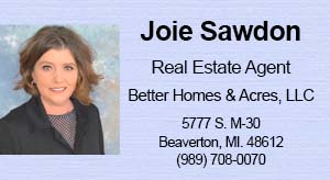 Joie Sawdon-Real Estate Agent.
